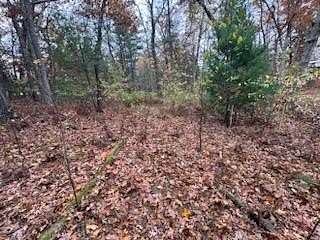 1.7 Acres of Residential Land for Sale in Twin Lake, Michigan