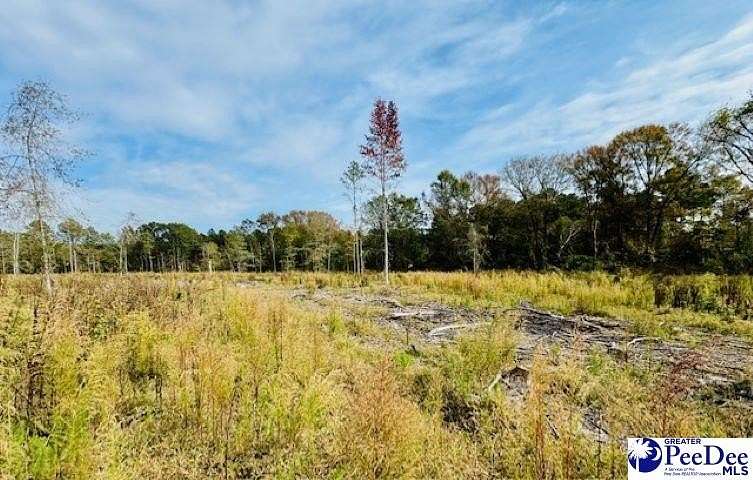 3.72 Acres of Residential Land for Sale in Cheraw, South Carolina