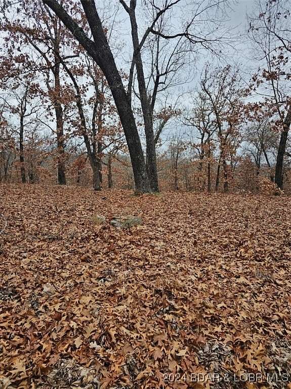 2.4 Acres of Residential Land for Sale in Edwards, Missouri