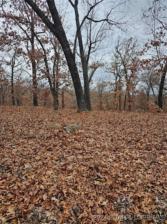 2.4 Acres of Land for Sale in Edwards, Missouri