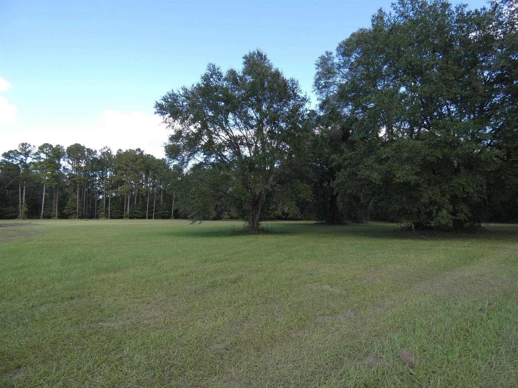 12.46 Acres of Land for Sale in Monticello, Florida