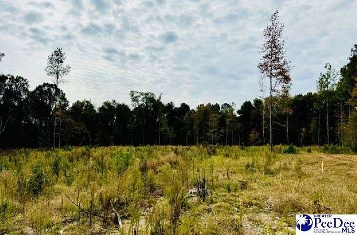 4.31 Acres of Residential Land for Sale in Cheraw, South Carolina