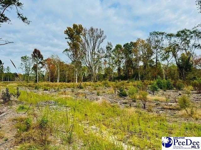 8.03 Acres of Residential Land for Sale in Cheraw, South Carolina