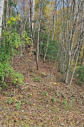 3.9 Acres of Residential Land for Sale in Moravian Falls, North Carolina