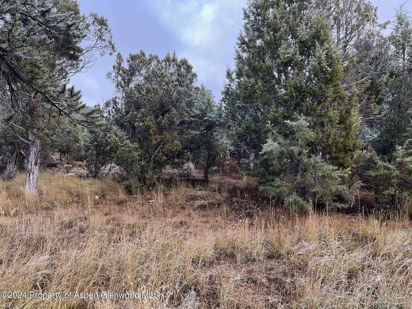 2.19 Acres of Residential Land with Home for Sale in Glenwood Springs, Colorado