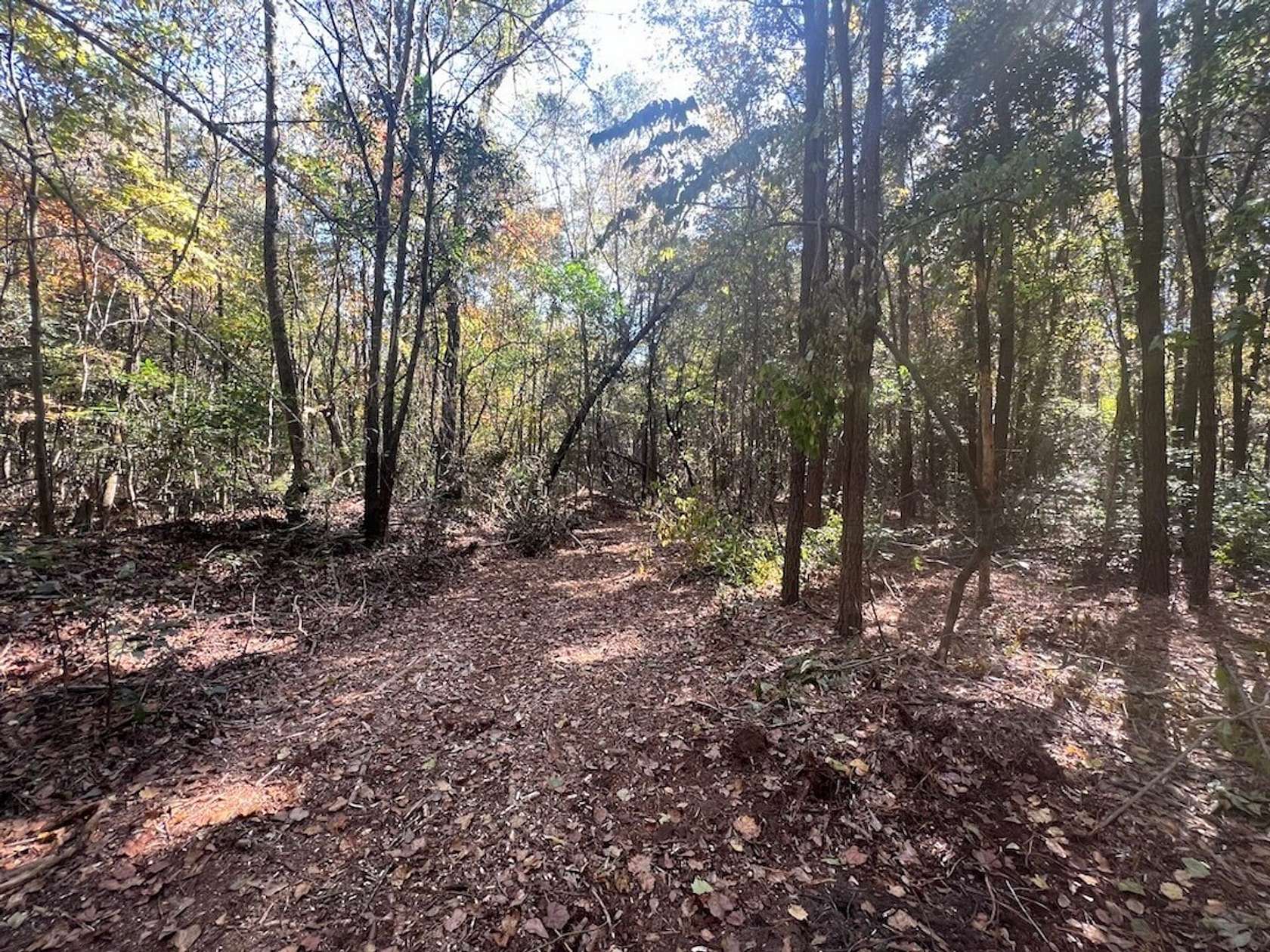 18.99 Acres of Recreational Land for Sale in Warsaw, North Carolina