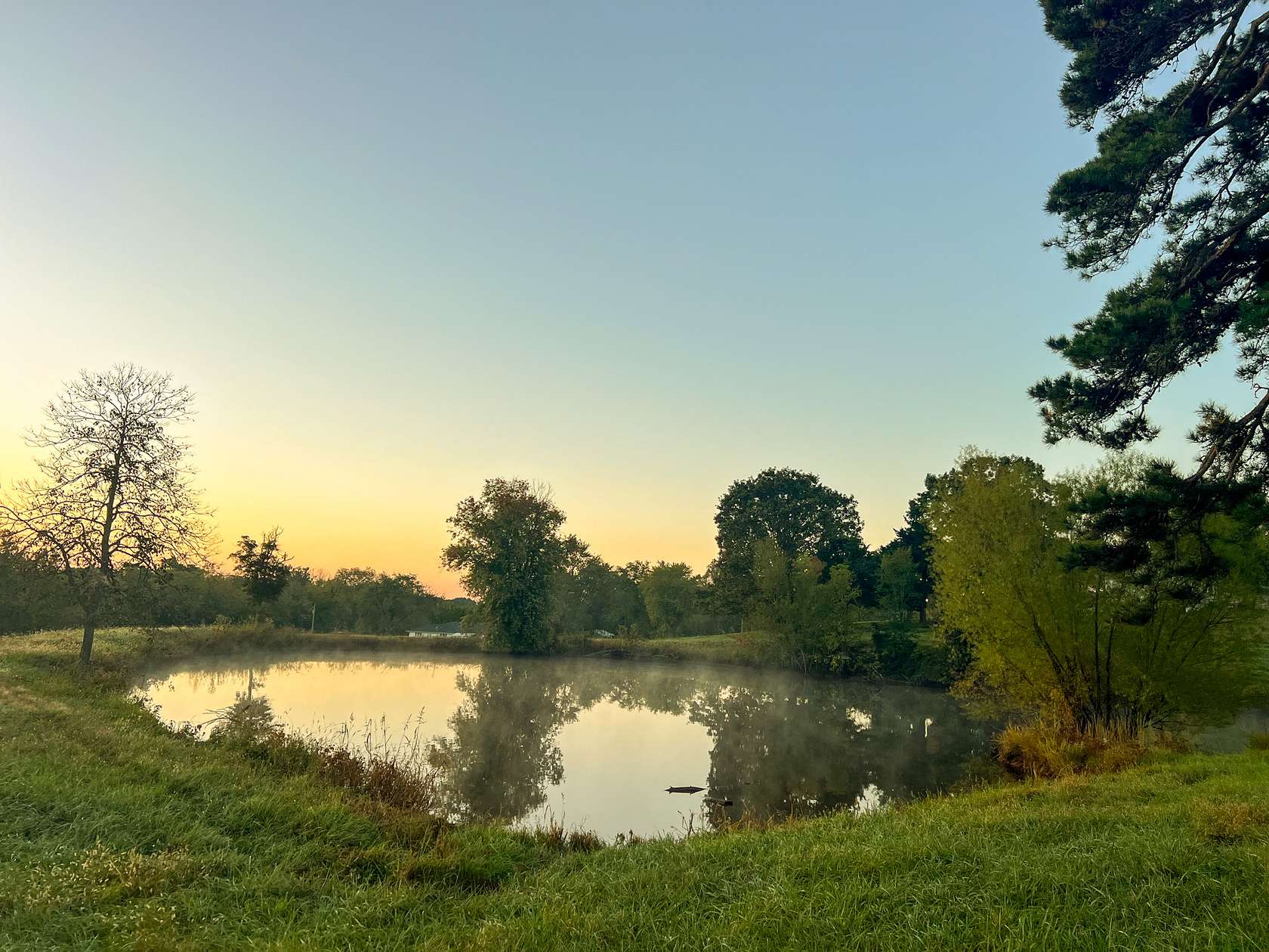 146 Acres of Recreational Land & Farm for Sale in Willow Springs, Missouri