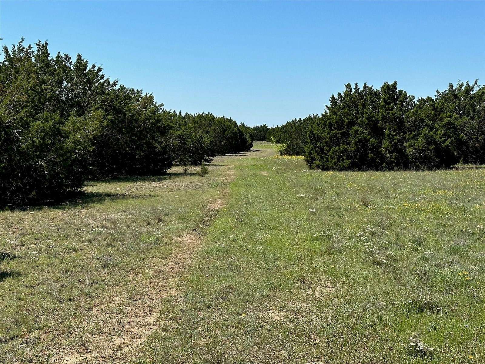 96.57 Acres of Land for Sale in Purmela, Texas