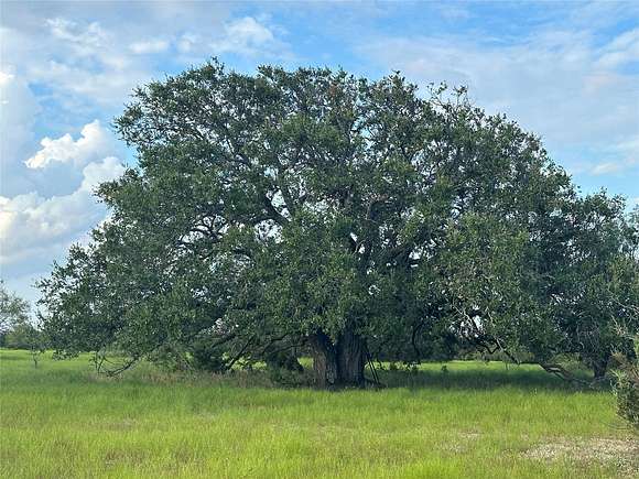 96.57 Acres of Land for Sale in Purmela, Texas