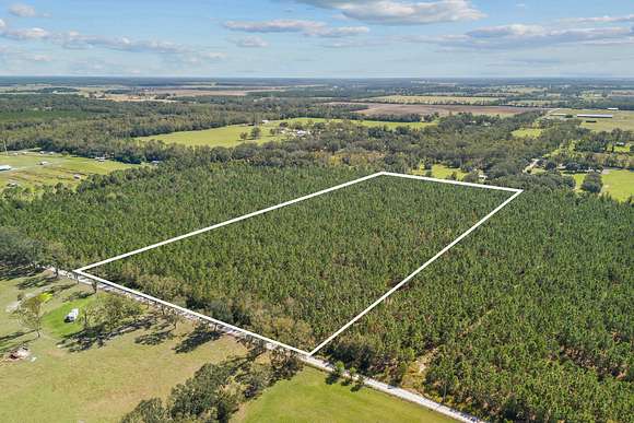 19.2 Acres of Land for Sale in Trenton, Florida