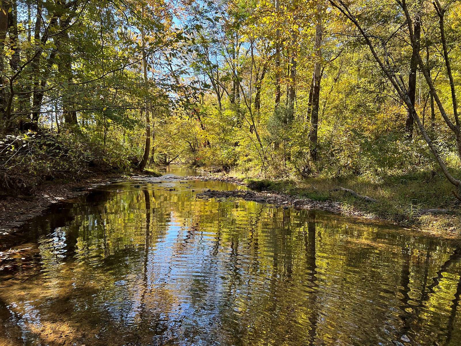 139 Acres of Recreational Land & Farm for Sale in Westpoint, Tennessee