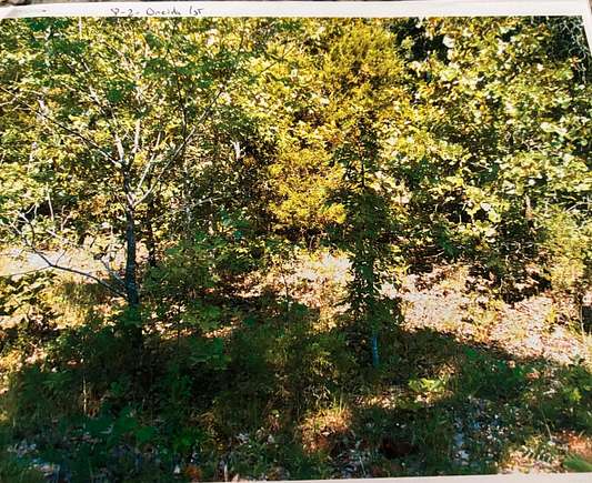 0.33 Acres of Residential Land for Sale in Cherokee Village, Arkansas