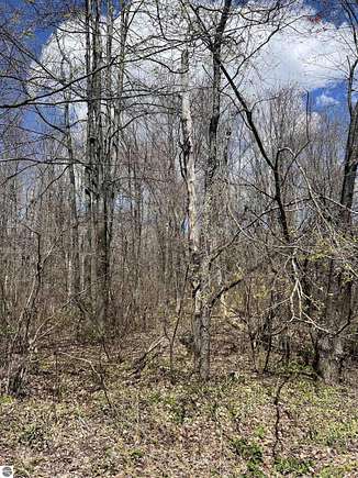 10.02 Acres of Land for Sale in Kalkaska, Michigan