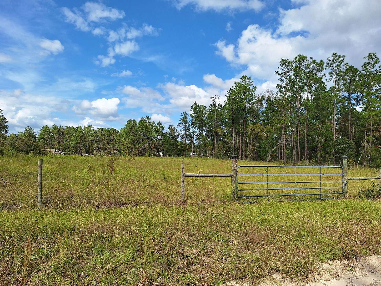 1.25 Acres of Land for Sale in Williston, Florida