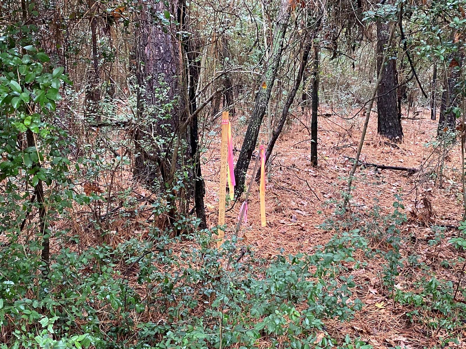 9.23 Acres of Agricultural Land for Sale in Center, Texas