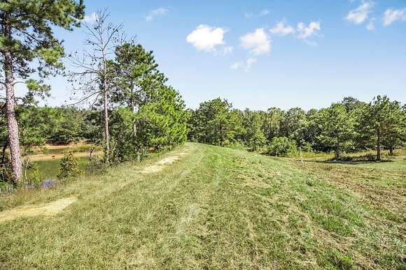 34 Acres of Land with Home for Sale in Magnolia, Mississippi