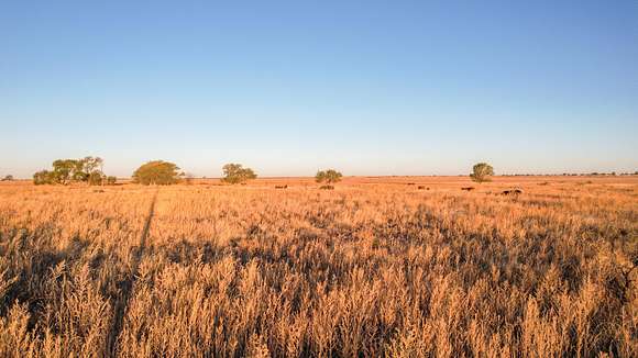 191.6 Acres of Recreational Land & Farm for Sale in Sudan, Texas