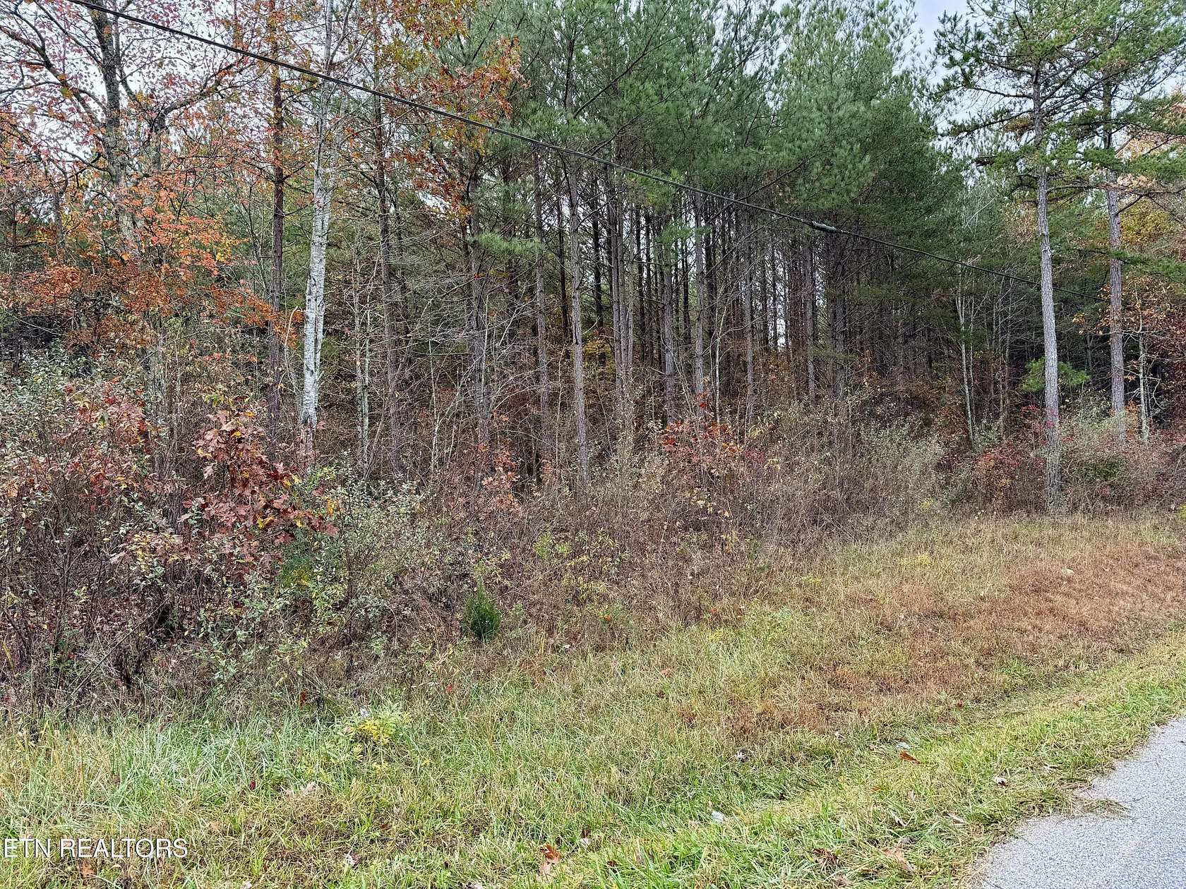1 Acre of Land for Sale in Rockwood, Tennessee