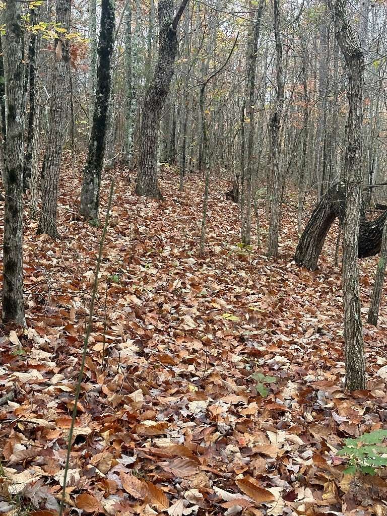 5.3 Acres of Residential Land for Sale in Wilder, Tennessee