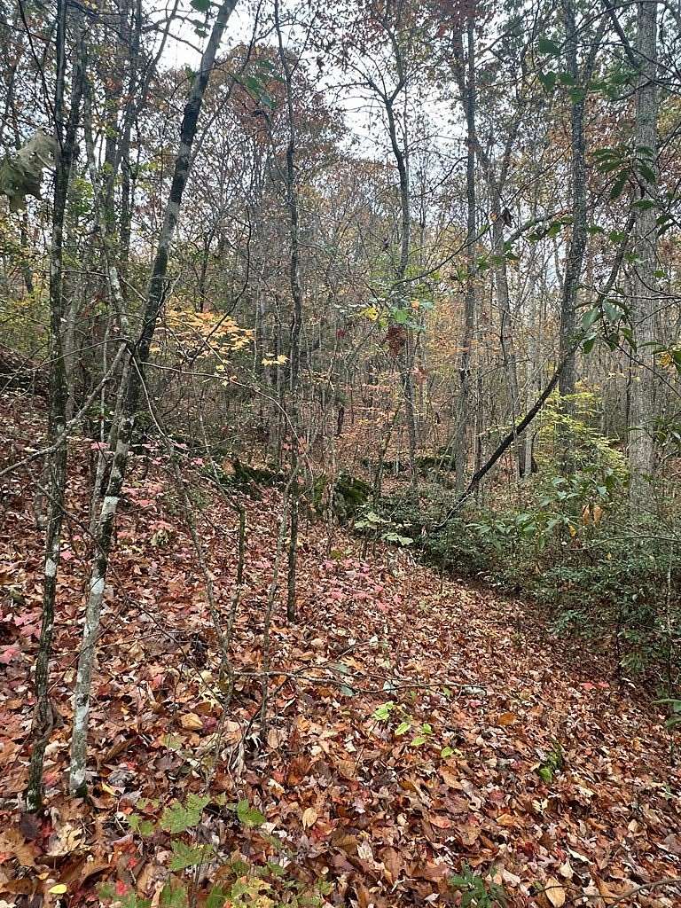 5.3 Acres of Residential Land for Sale in Wilder, Tennessee