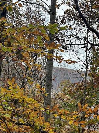 5.3 Acres of Residential Land for Sale in Wilder, Tennessee