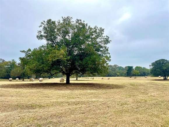 13.865 Acres of Land for Sale in Covington, Texas