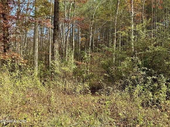 1.08 Acres of Land for Sale in Rockwood, Tennessee