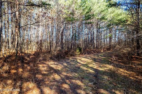 1 Acre of Land for Sale in Rockwood, Tennessee