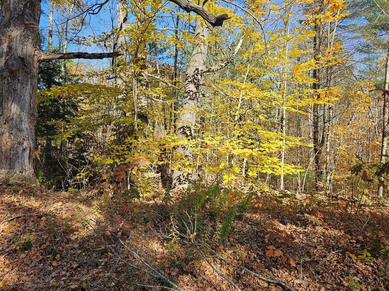 2.79 Acres of Residential Land for Sale in Newfield, Maine