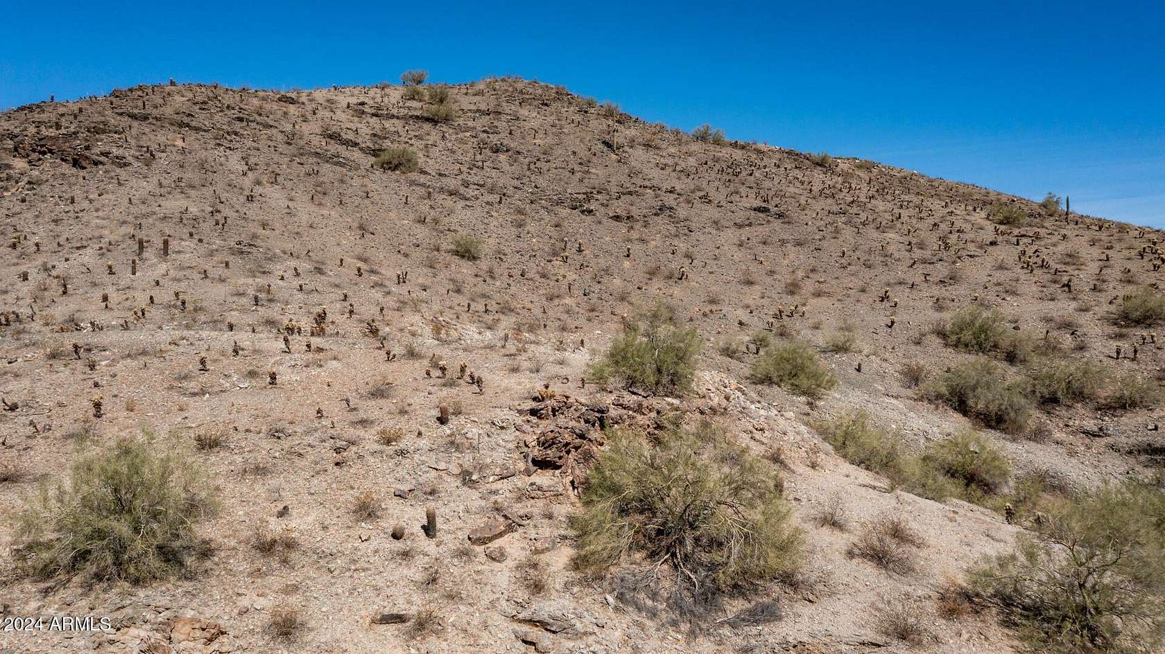 1.33 Acres of Residential Land for Sale in Phoenix, Arizona