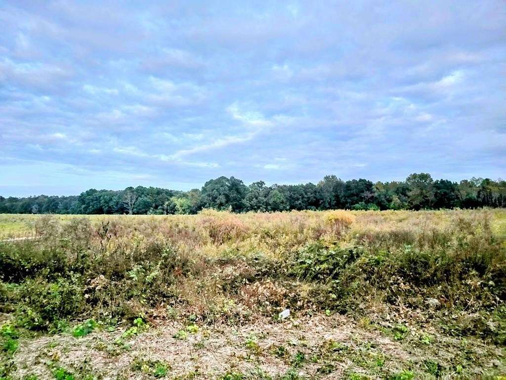 18 Acres of Land for Sale in Geneva, Alabama