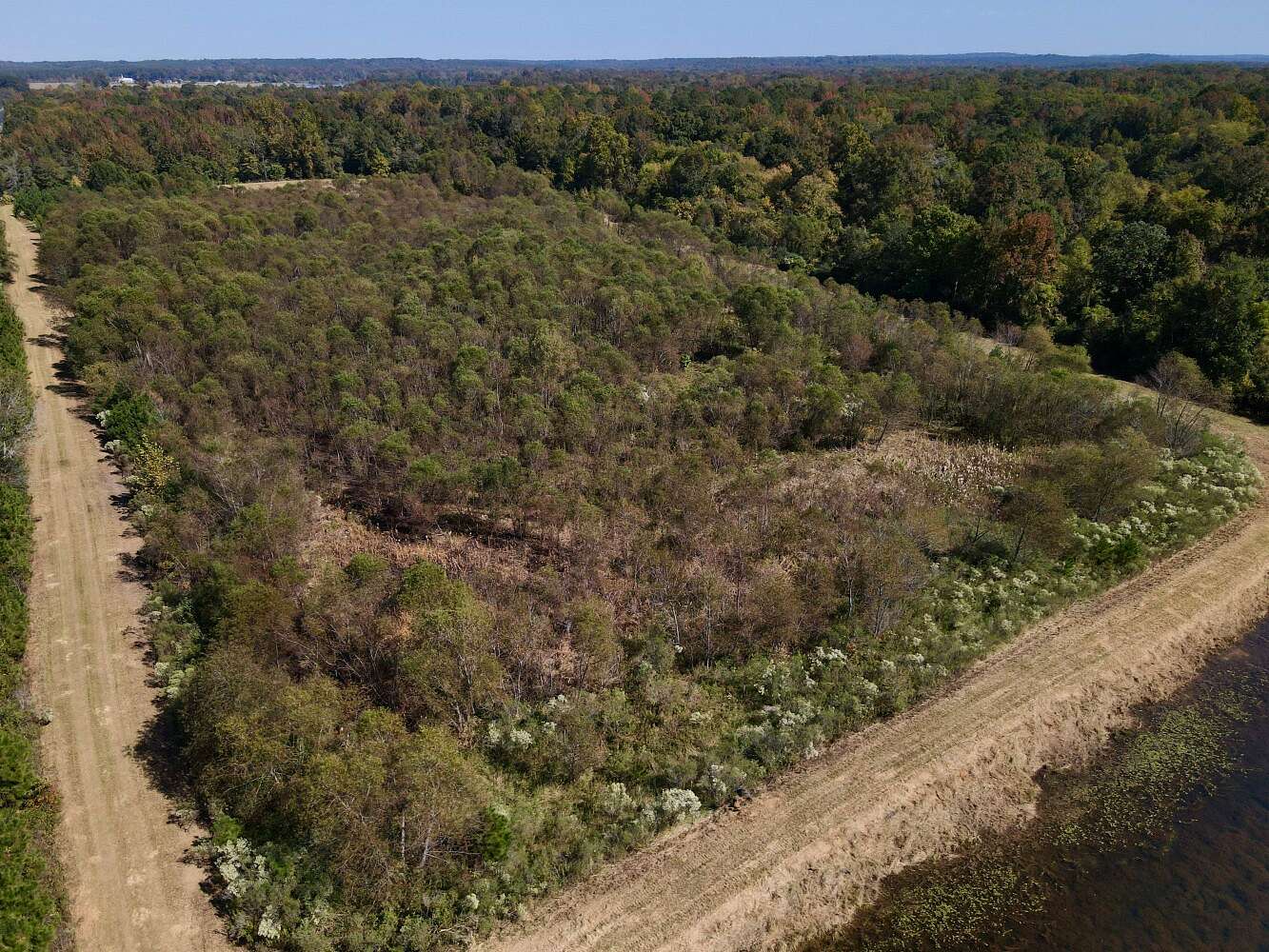 114 Acres of Recreational Land for Sale in Sawyerville, Alabama