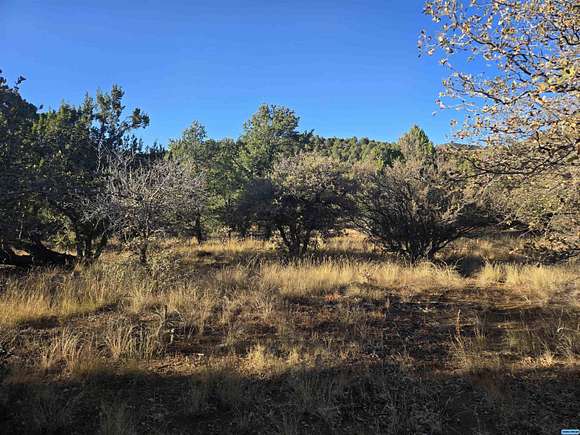 0.98 Acres of Residential Land for Sale in Silver City, New Mexico