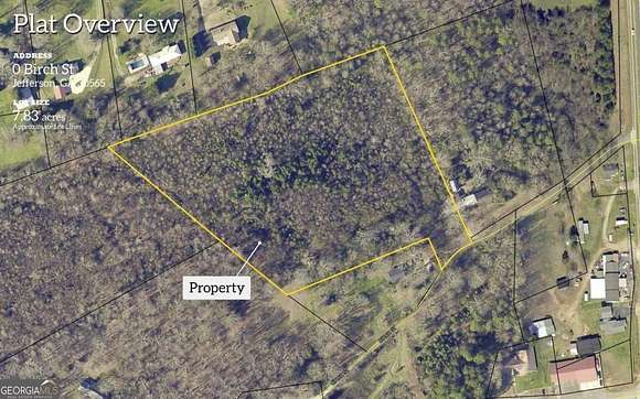 7.83 Acres of Land for Sale in Nicholson, Georgia