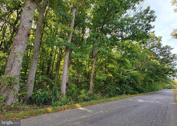 5 Acres of Agricultural Land for Sale in Partlow, Virginia