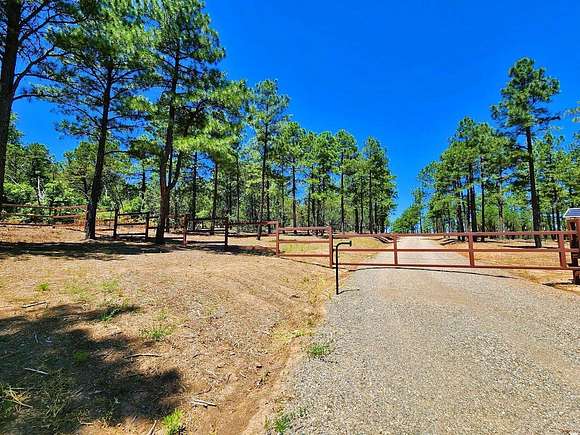 93.87 Acres of Land for Sale in Tijeras, New Mexico