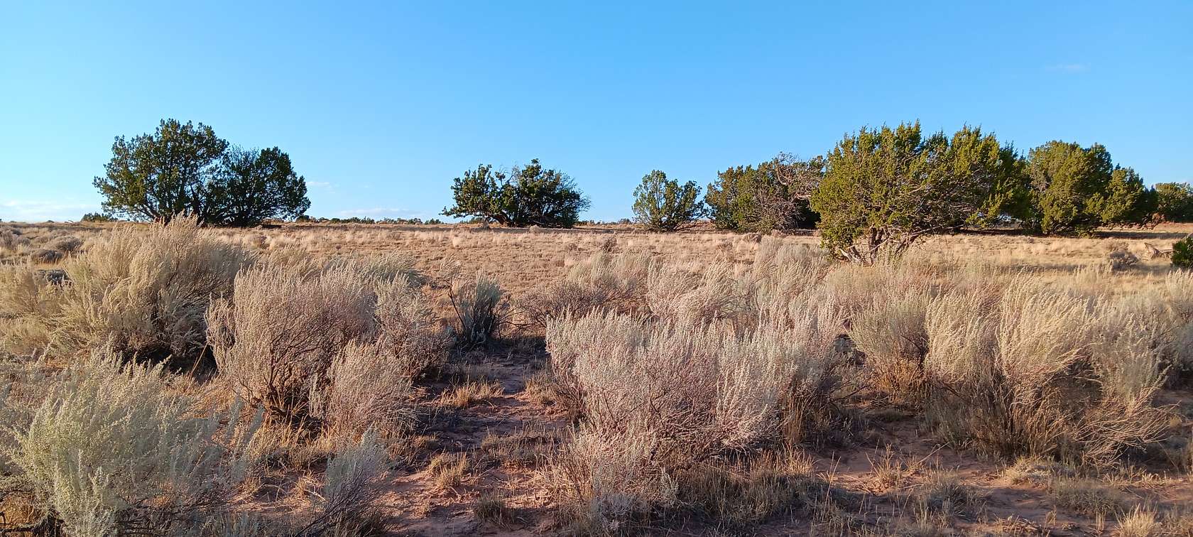 1.06 Acres of Residential Land for Sale in Chambers, Arizona