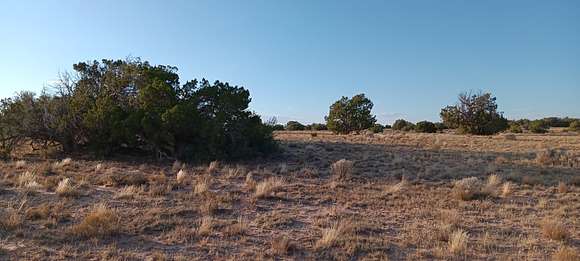 1.06 Acres of Residential Land for Sale in Chambers, Arizona