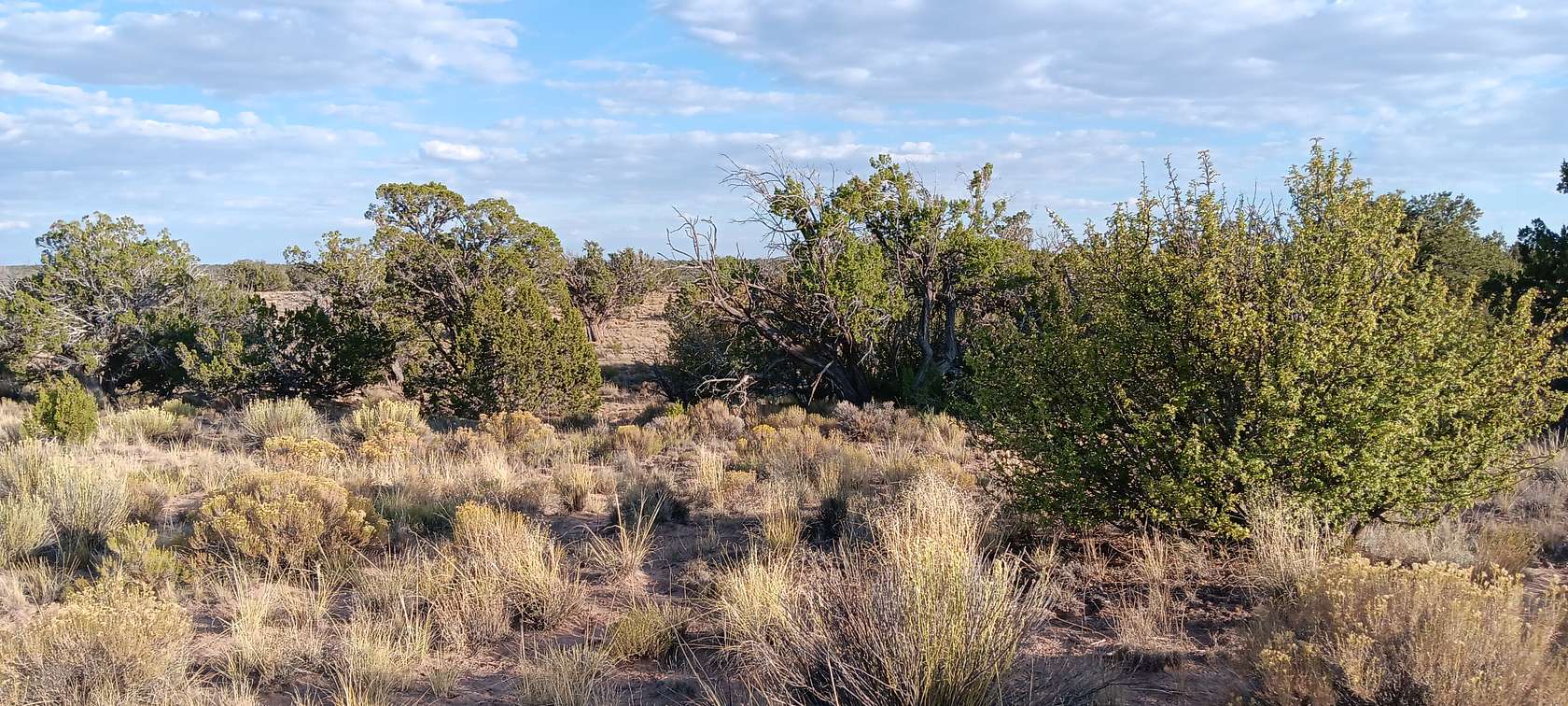 2.47 Acres of Residential Land for Sale in Chambers, Arizona