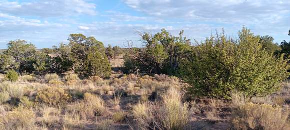 2.47 Acres of Residential Land for Sale in Chambers, Arizona