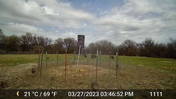 20 Acres of Recreational Land for Sale in Hawley, Texas