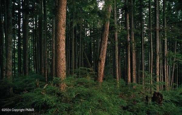 0.6 Acres of Land for Sale in Blakeslee, Pennsylvania