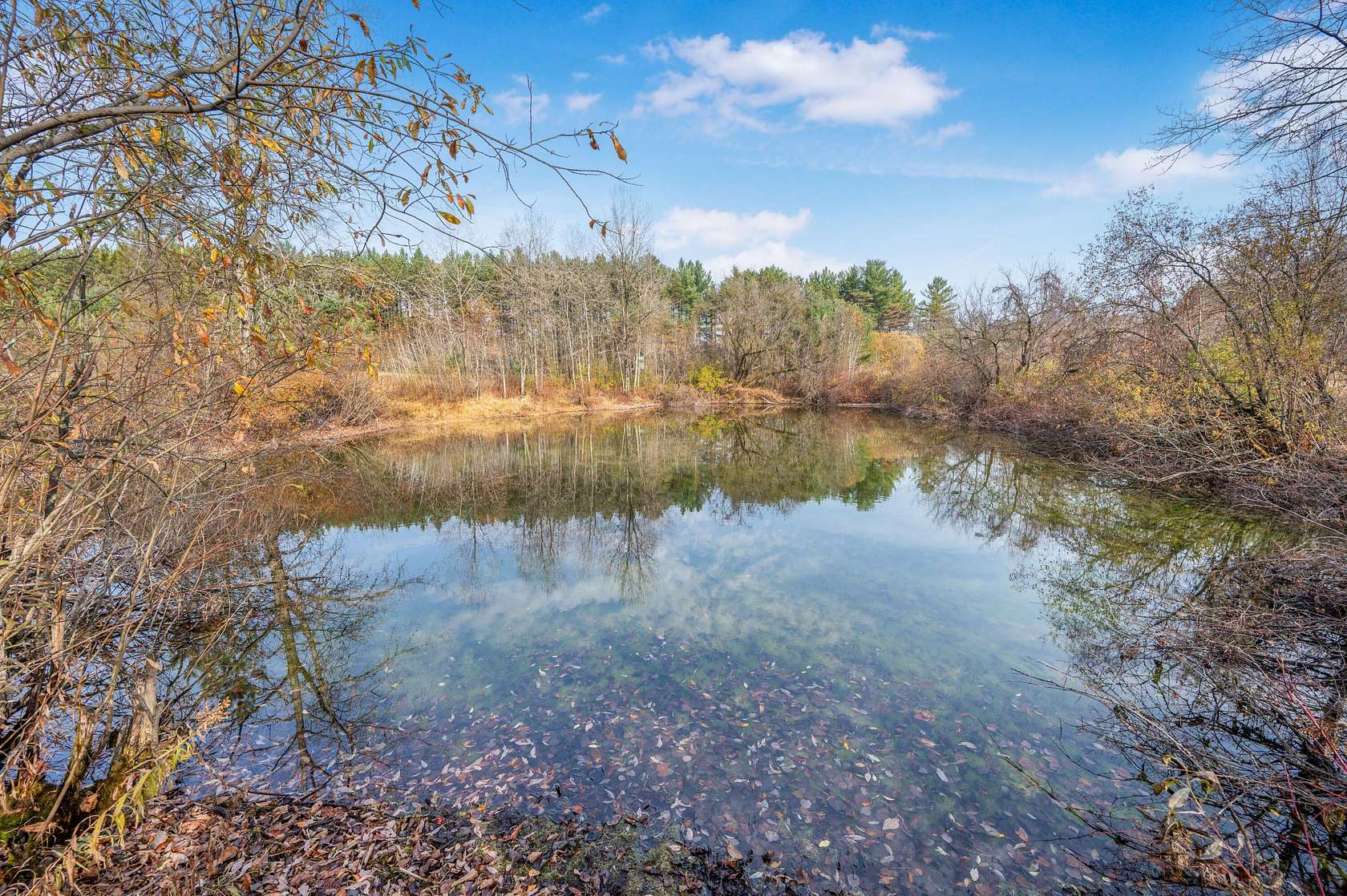 14 Acres of Recreational Land for Sale in Gladwin, Michigan