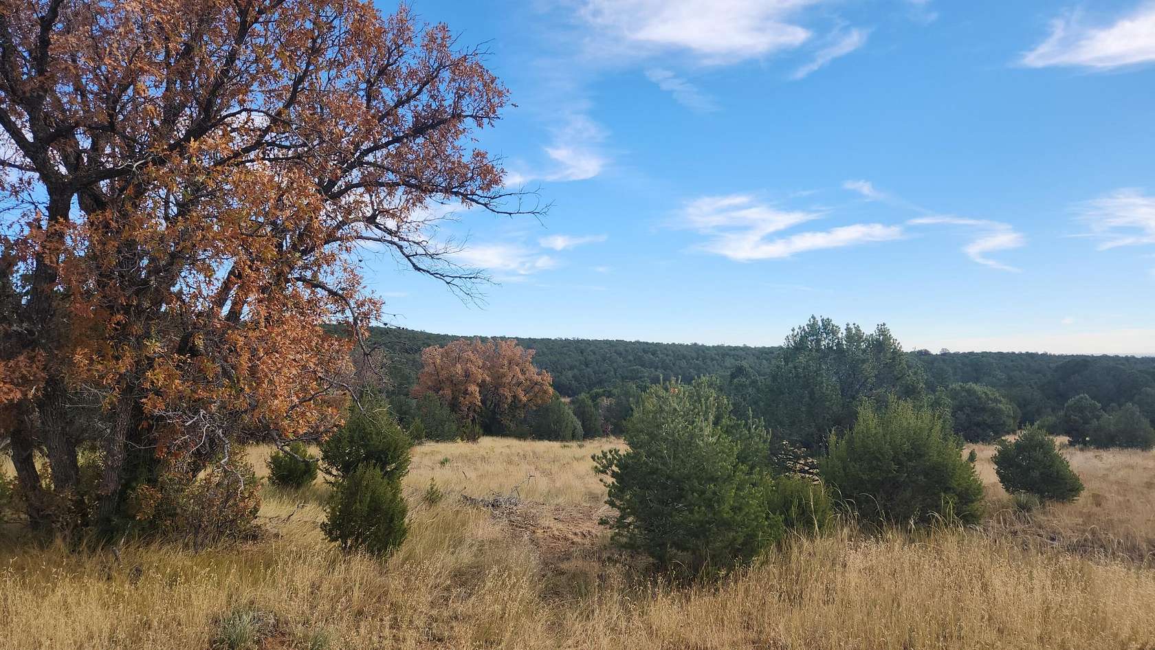 33.52 Acres of Recreational Land for Sale in Estancia, New Mexico