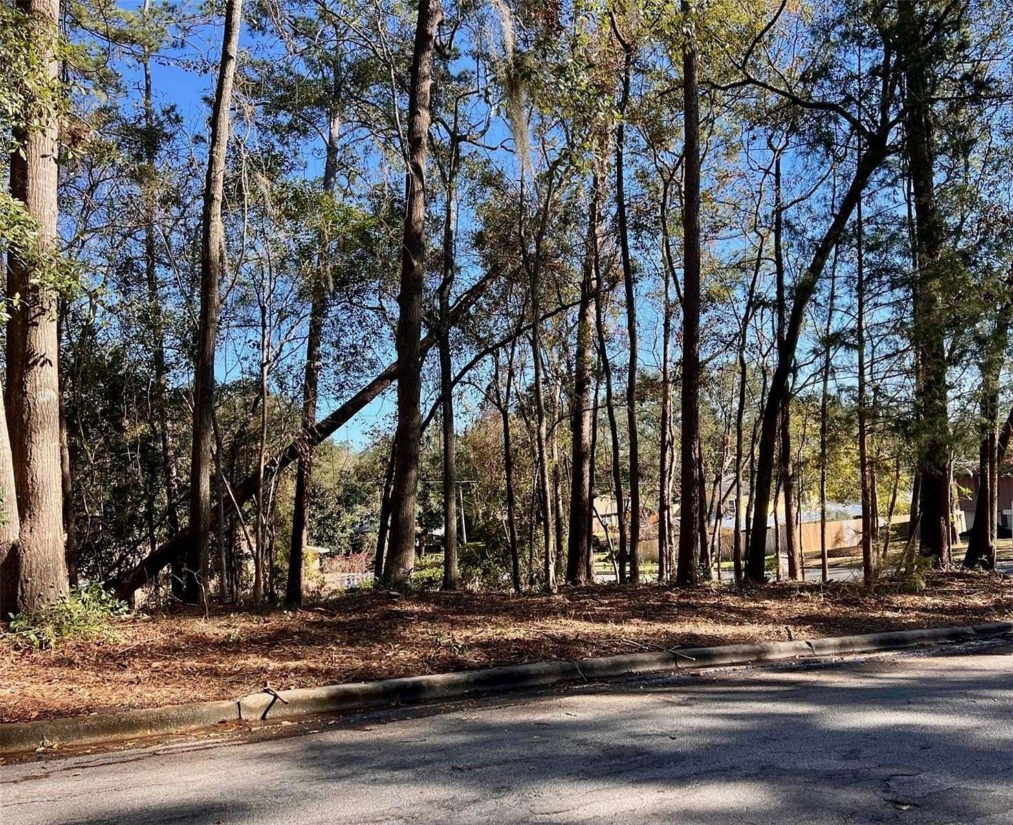 0.33 Acres of Land for Sale in Gainesville, Florida