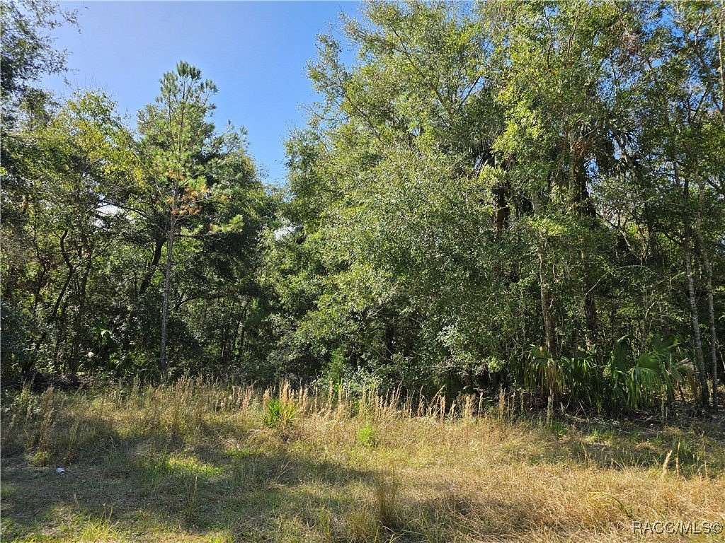 1.17 Acres of Land for Sale in Inglis, Florida