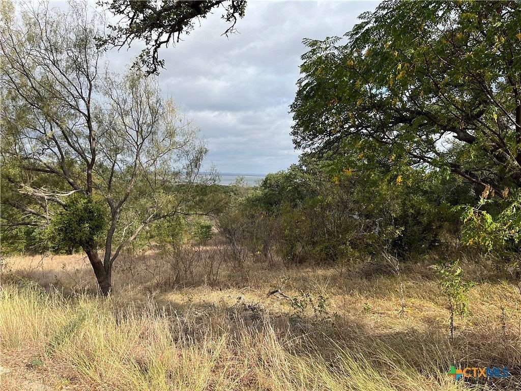 0.58 Acres of Residential Land for Sale in Buchanan Dam, Texas