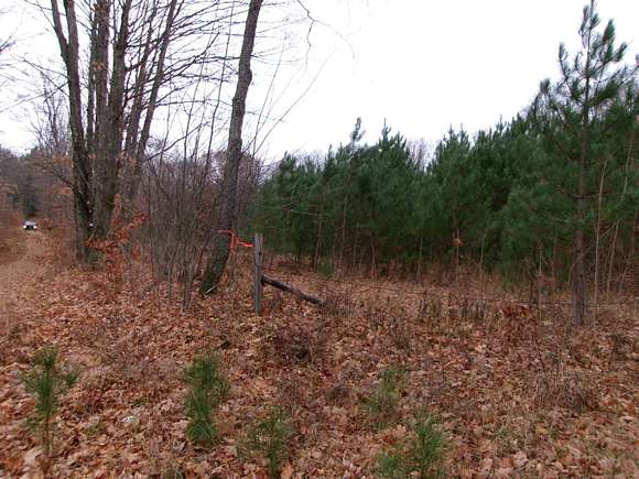 8.2 Acres of Recreational Land for Sale in Fife Lake, Michigan