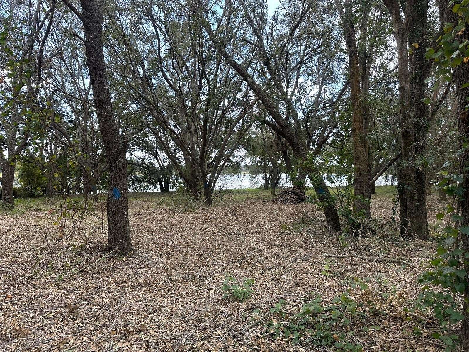 14.1 Acres of Land for Sale in Groveland, Florida