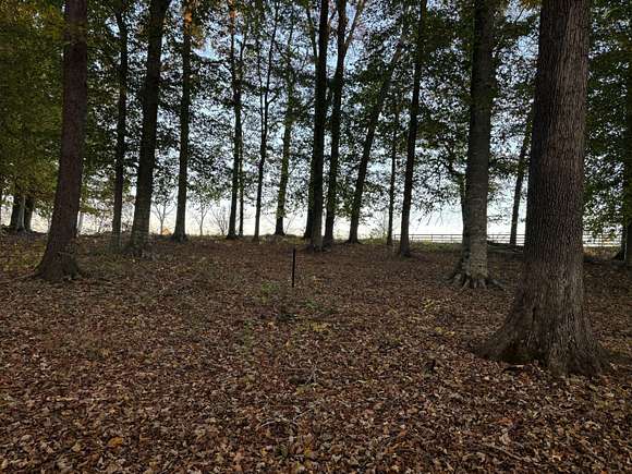 0.5 Acres of Residential Land for Sale in Nancy, Kentucky